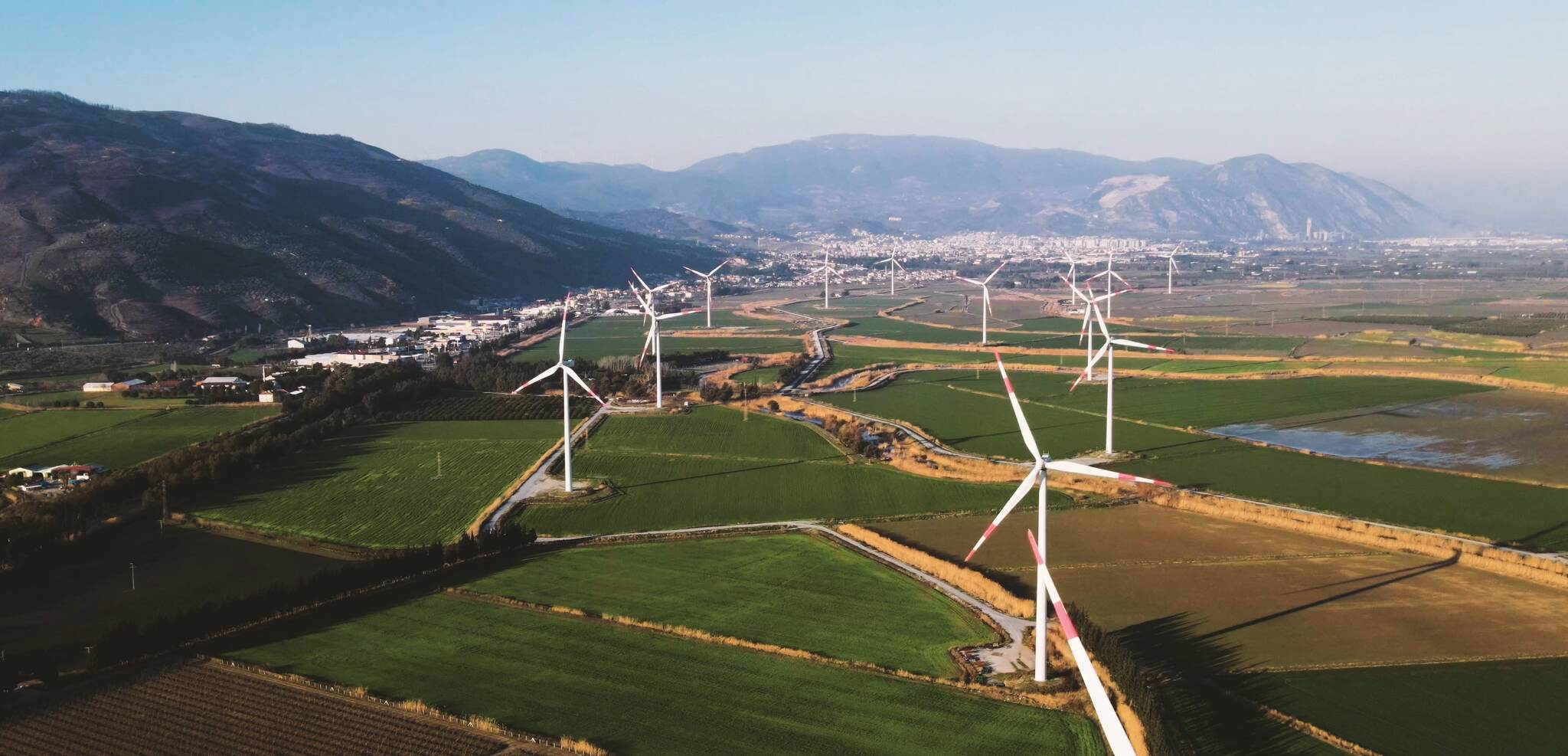 Image of windmill park